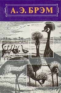 Альфред Эдмунд Брем - Жизнь животных. В трех томах. Том 2. Птицы