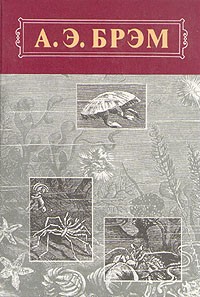 Альфред Эдмунд Брем - Жизнь животных. В трех томах. Том 3. Пресмыкающиеся. Земноводные. Рыбы.