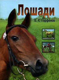 Владимир Парфенов - Лошади