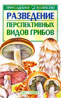 А. И. Морозов - Разведение перспективных видов грибов