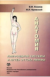  - Анатомия лимфоидной системы и путей оттока лимфы