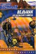 Владимир Васильев - Ведьмак из Большого Киева (сборник)