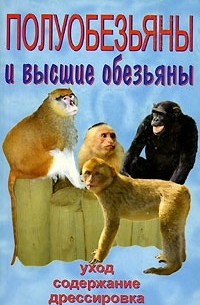 Полуобезьяны и высшие обезьяны