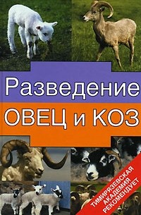 Разведение овец и коз