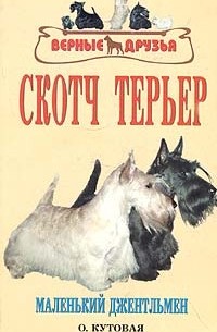 Скотч терьер