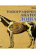 Питер К. Гуди - Топографическая анатомия лошади