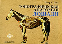 Питер К. Гуди - Топографическая анатомия лошади