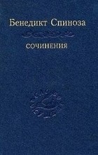 Бенедикт Спиноза - Сочинения в двух томах. Том 2