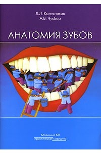  - Анатомия зубов