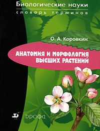 О. А. Коровкин - Анатомия и морфология высших растений