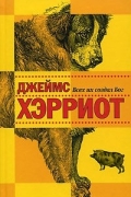 Джеймс Хэрриот - Всех их создал Бог
