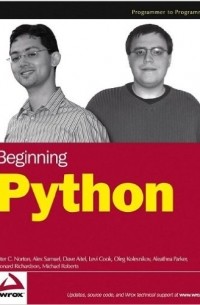 без автора - Beginning Python