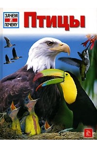 Птицы