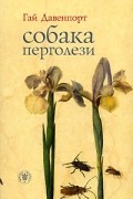 Гай Давенпорт - Собака Перголези (сборник)