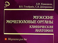  - Мужские мочеполовые органы. Клиническая анатомия