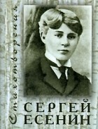 Сергей Есенин - Стихотворения. В 3 томах. Том 1