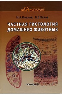  - Частная гистология домашних животных