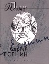 Сергей Есенин - Проза поэта (сборник)