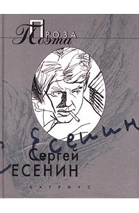 Сергей Есенин - Проза поэта (сборник)