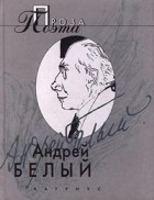 Андрей Белый - Проза поэта (сборник)