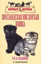 Е. Шевченко - Шотландская вислоухая кошка