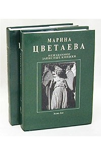 Марина Цветаева - Марина Цветаева. Неизданное. Записные книжки. В двух томах