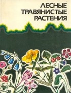  - Лесные травянистые растения