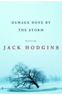 Джек Ходжинс - Damage Done by the Storm