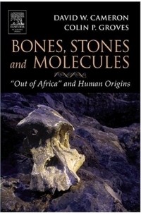  - Bones, Stones and Molecules: "Out of Africa" and Human Origins