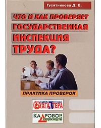 Д. Е. Гусятникова - Что и как проверяет государственная инспекция труда? Практика проверок