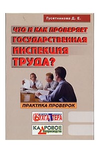 Д. Е. Гусятникова - Что и как проверяет государственная инспекция труда? Практика проверок