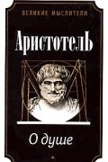 О душе