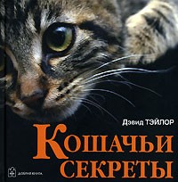 Дэвид Тэйлор - Кошачьи секреты