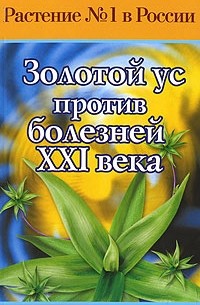 Золотой ус против болезней XXI века