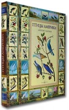 Джон Джеймс Одюбон - Птицы Америки (подарочное издание)