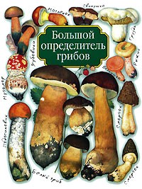 Александр Юдин - Большой определитель грибов
