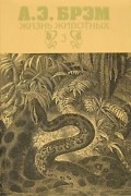 А. Э. Брэм - Жизнь животных. В 3 томах. Том 3. Пресмыкающиеся. Земноводные. Рыбы. Беспозвоночные