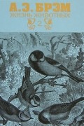А. Э. Брэм - Жизнь животных. В 3 томах. Том 2. Птицы