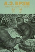 А. Э. Брэм - Жизнь животных. В 3 томах. Том 1. Млекопитающие