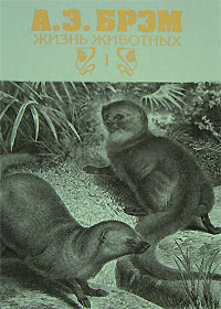 А. Э. Брэм - Жизнь животных. В 3 томах. Том 1. Млекопитающие