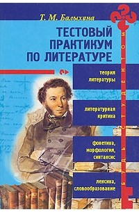 Татьяна Балыхина - Тестовый практикум по литературе