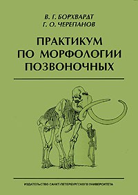  - Практикум по морфологии позвоночных