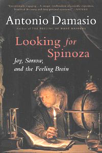 Антонио Дамасио - Looking for Spinoza: Joy, Sorrow, and the Feeling Brain