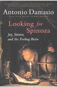 Антонио Дамасио - Looking for Spinoza: Joy, Sorrow, and the Feeling Brain