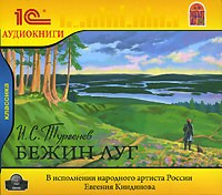 И. С. Тургенев - Бежин луг (аудиокнига MP3)