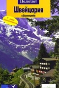 Швейцария и Лихтенштейн. Путеводитель с мини-разговорником