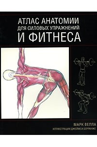 Атлас анатомии для силовых упражнений и фитнеса