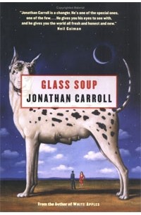 Jonathan Carroll - Glass Soup