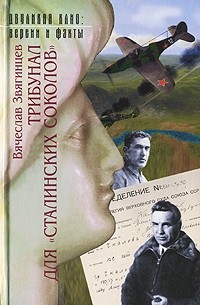 Вячеслав Звягинцев - Трибунал для "сталинских соколов"