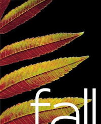  - Fall: Photographs